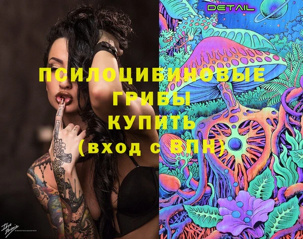 шишки Алексеевка