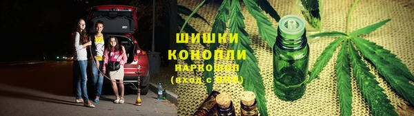 шишки Алексеевка